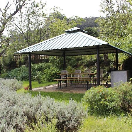 Senani Colonial Holiday Bungalow ヌワラ・エリヤ エクステリア 写真